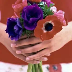 Posy of red, pink and mauve anemones held in hands credit: Marie-Louise Avery /