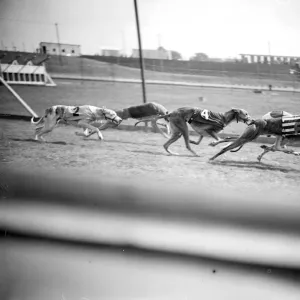 Preparing for the opening of the New Greyhound Racing Track at Harringay