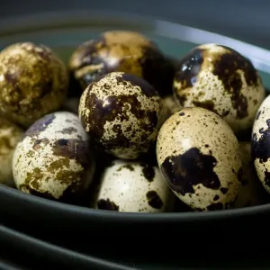 Quails eggs in their shells in dark green bowls stacked credit: Marie-Louise Avery