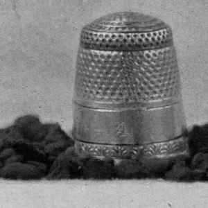 The Queens Eggs : Legs as pollen carriers : the making of combs : Bees