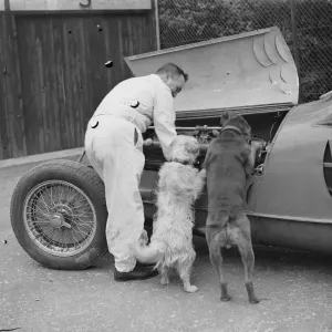 Racing Car Engine Inspection Print 1939 Racing Car Engine Inspection Print 1939