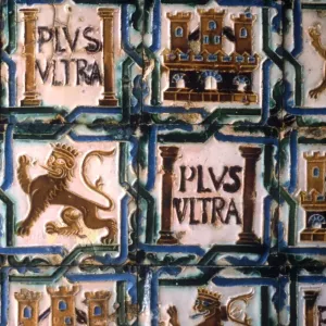 Alcazar Royal Lion Print Alcazar Royal Lion Print