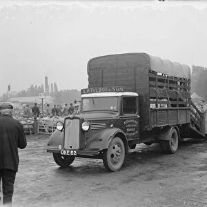Sheep are being loaded up onto a Bedford lorry belonging to W James & Sons Horse