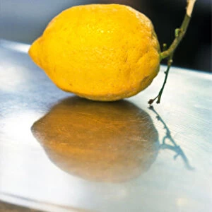 Single yellow lemon on stainless steel counter credit: Marie-Louise Avery / thePictureKitchen