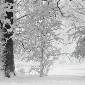 Schneenscene im Kent, 1939