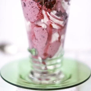 Spectacular dessert of ice cream with blackcurrants and fresh fruit coulis topped