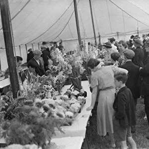 The Spring Flower Show at Longfields, Kent. 1939