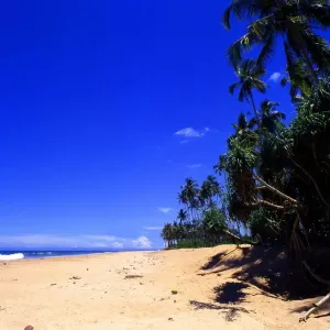 Sri Lanka. Beach to north of Galle Sri Lanka. Beach to north of Galle