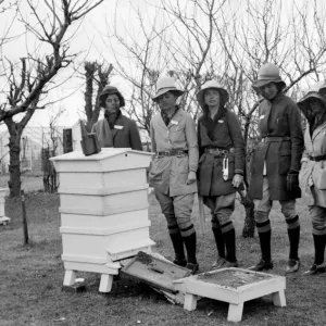 Colegio de Horticultura Swanley. Estudiantes de Swanley en demostración. Décadas del 30