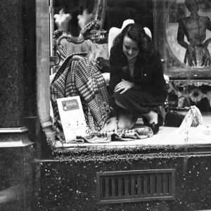 La colonia de abejas que causó considerable excitación en Bond Street durante varios días.