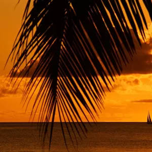 T4. 01 West Indies. Antigua. Sunset with palms and boat