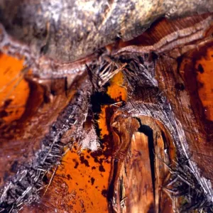 Texture - abstract Texture - abstract