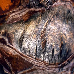 Texture - abstract Texture - abstract