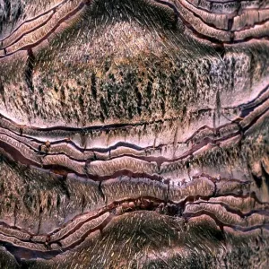 Texture - abstract Texture - abstract