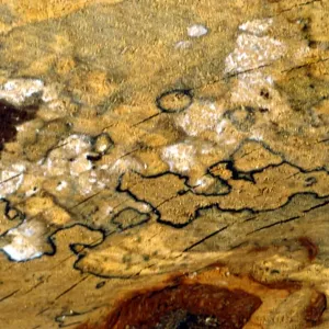 Texture - abstract Texture - abstract