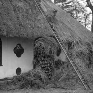 Print of a man thatching the roof of a building with reeds