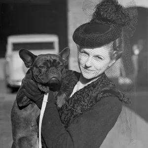 The Show of the Keeshon club and French Bulldog club is taking place at Tattershall The Show of the Keeshon club and French Bulldog club is taking place at Tattershall