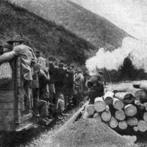 The timber railway high up in the Carpathian Mountains on the Hungarian-Russian border The timber railway high up in the Carpathian Mountains on the Hungarian-Russian border