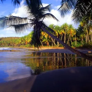 Tropical. 4 042. Grenada. La Sagesse beach Tropical. 4 042. Grenada. La Sagesse beach