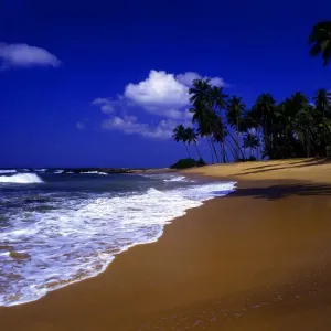 Tropical beauty. Sri Lanka. Beach between Galle and Kuskoda Tropical beauty. Sri Lanka. Beach between Galle and Kuskoda