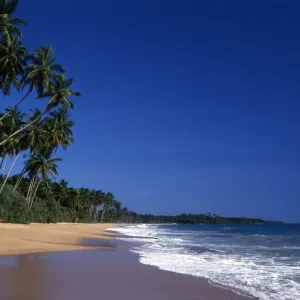 Tropical beauty. Sri Lanka. Kuskoda beach Tropical beauty. Sri Lanka. Kuskoda beach