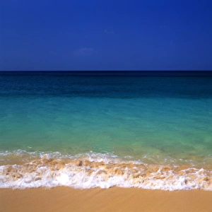 Tropical beauty. West Indies. Barbados. Beach, Sea and Sky