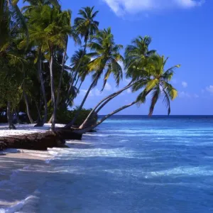 Tropical Islands - Maldives - Little Bandos with No Human Figure Tropical Islands - Maldives - Little Bandos with No Human Figure