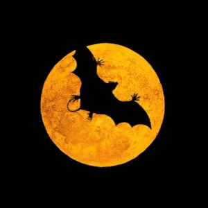Vampire Bat Print in Flight Vampire Bat Print in Flight