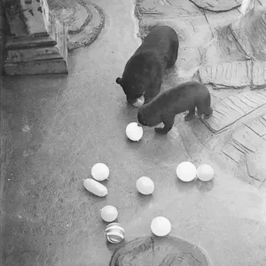 Waiting for the bang!. Lumbering delightedly in pursuit of the elusive spheres Waiting for the bang!. Lumbering delightedly in pursuit of the elusive spheres