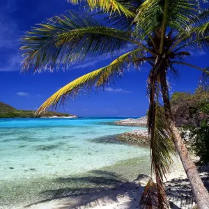 West Indies Barbados Print West Indies Barbados Print