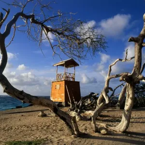West indies Barbados North of Cobblers reef West indies Barbados North of Cobblers reef