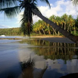 West Indies Grenada La Sagesse West Indies Grenada La Sagesse