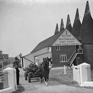 Whitbreads hop farm in Belting, Kent. The kilns where the hops are dried. 1938