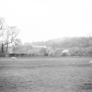 Winchelsea Village Print 1925 Winchelsea Village Print 1925
