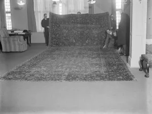 The ? 100, 000 carpet A wonder carpet which has just been brought to London by the purchasers