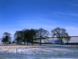 Hill Prints: 150. Winter Scene