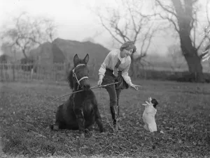 Pony Prints: 16-year-old girl animal trainer, prepares new acts for Christmas. 16-year-old Olga Astley