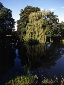 Thames Prints: 173 Thames at Sonning. England