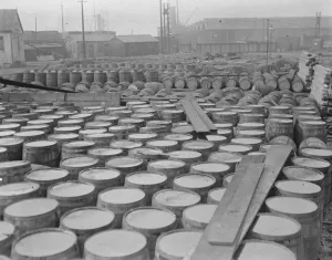 5, 000 Barrels of Syrup held up at Surrey Docks It is alleged that 5, 000 barrels