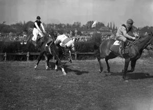 Fence Prints: 9 May 1954 Gay Kindersley at the last falls off St Blazey during the Harewoods Challenge
