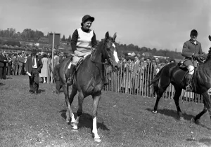 Country Sport Prints: 9 May 1954 Mrs. G. Lamont on Dean of Devon who won the Pendarves Paynter Trophy