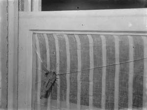 Glass Prints: 9 November 1940 Shrapnel in the window caused by during bomb damage in a Nazi bombing