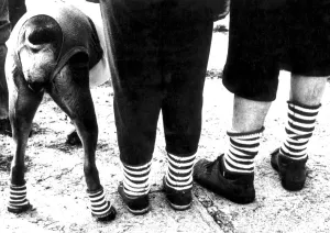 Animal Antic Prints: and all dressed in the same anklets, - thats not a daily sight! Here it seems