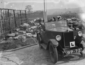 Animal Antic Prints: An alsation sits in the passenger seat of a learners car. 1936
