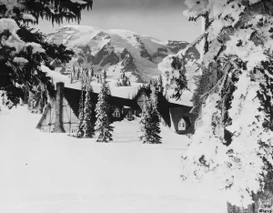 Christmas Prints: Americas record winter. A photograph from Rainier National Park, Washington