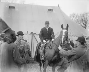 Animal Prints: The annual Bar point to point races took place at Greenford Green, near Harrow, London