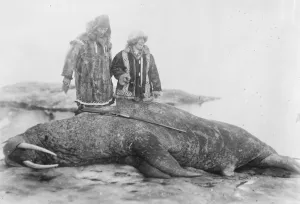 Arctic expedition of Captain F E Kleinschmidt. Captain and Mrs Kleinschmidt with