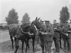 Military Prints: Army manoeuvers in Orpingon, Kent. Troops stop to eat and feed their animals