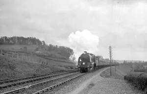 The Atlantic Coast Express in South Devon