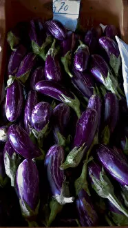 Fresh Collection: Aubergines on sale in roadside farm stall, southern Cyprus. credit: Marie-Louise